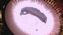 internal video